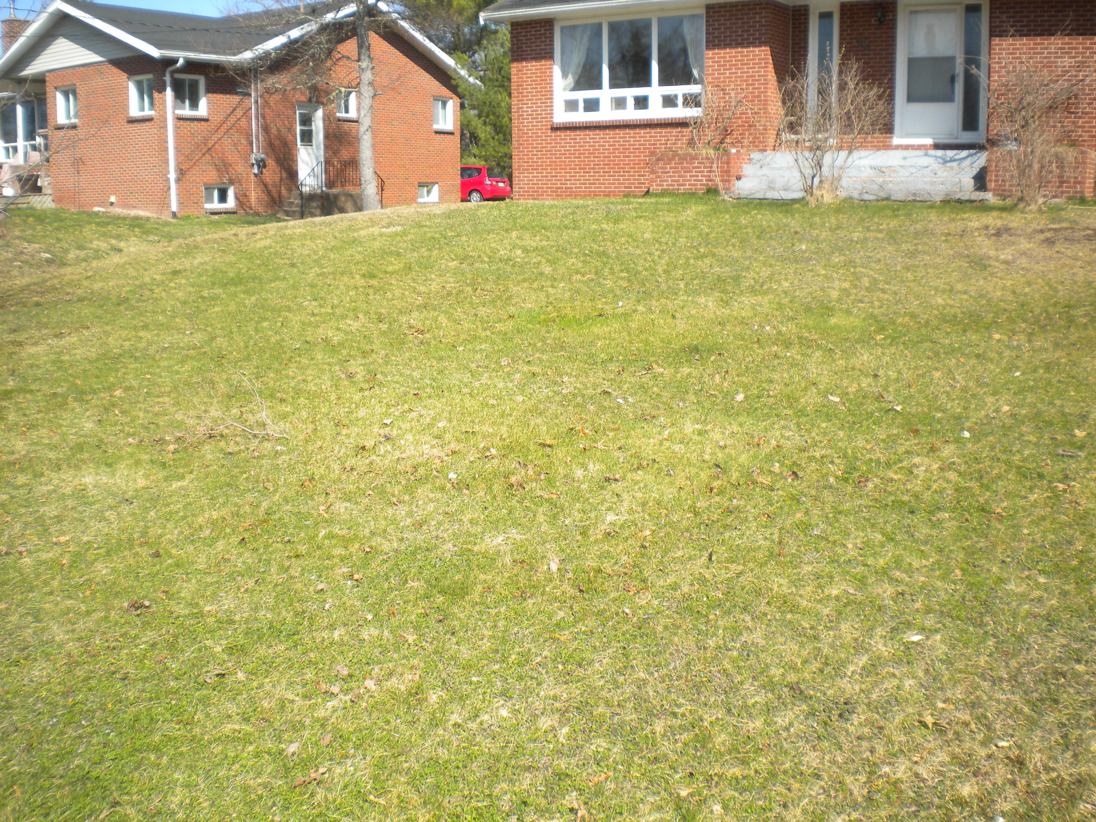 Building a Backyard Setup; Start to Finish. - Location