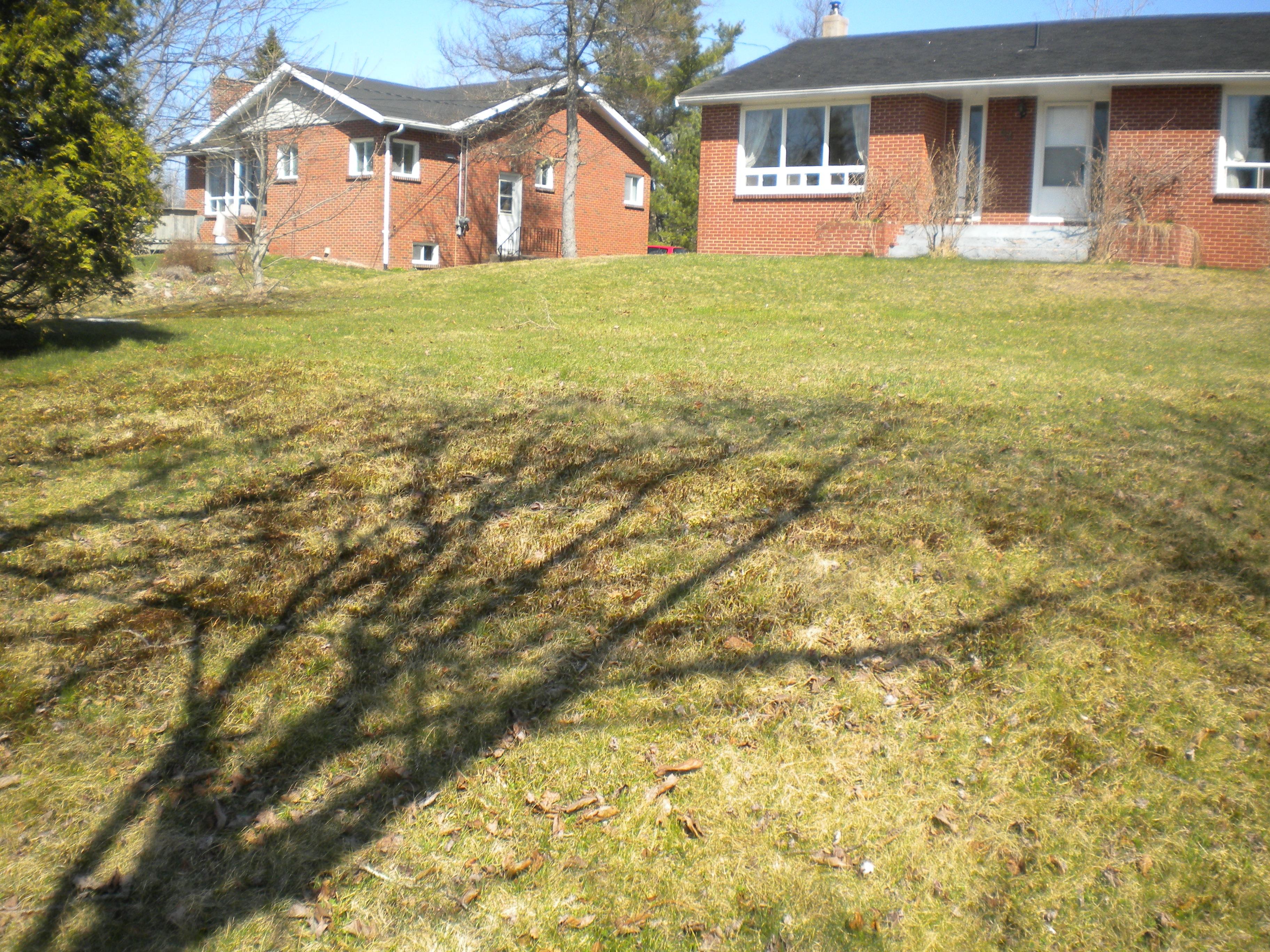 Building a Backyard Setup; Start to Finish. - Location