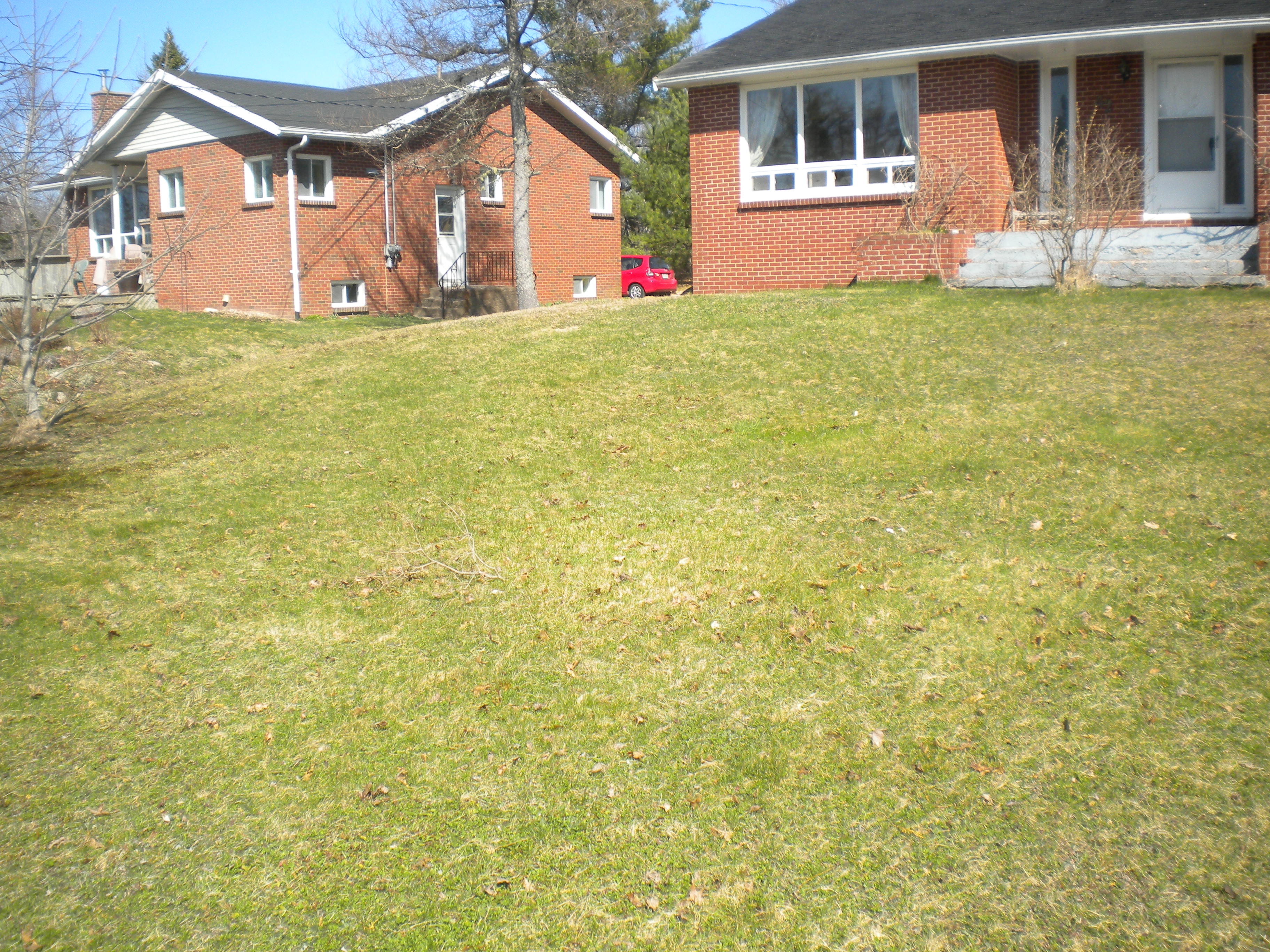 Building a Backyard Setup; Start to Finish. - Location