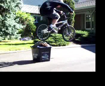 bunny hop over a kid in a box