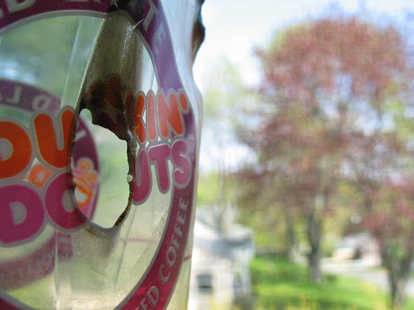 Burn Dunkin Doughnuts