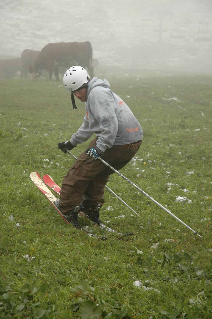 Butter amongst the cows