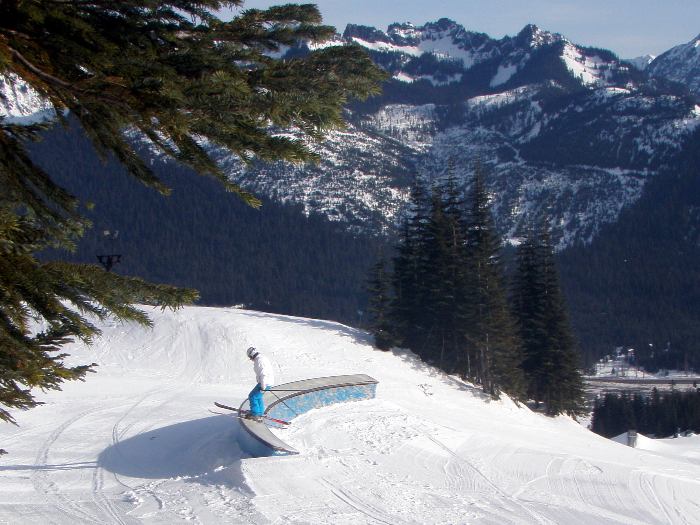 C-box from the Forest