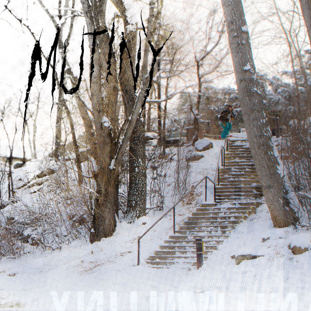 Cam Riley Elbow Quad