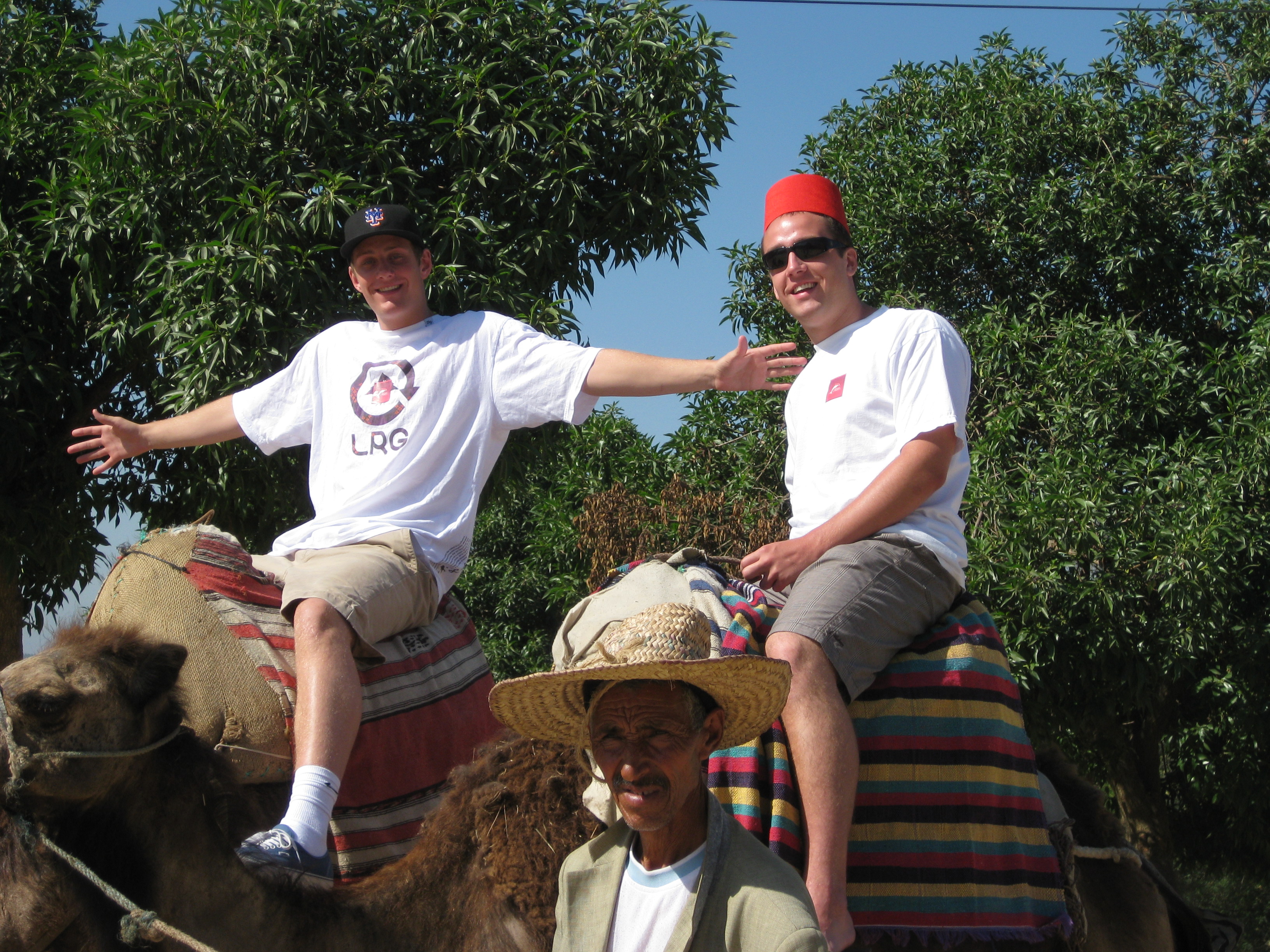 Camel Jockeys