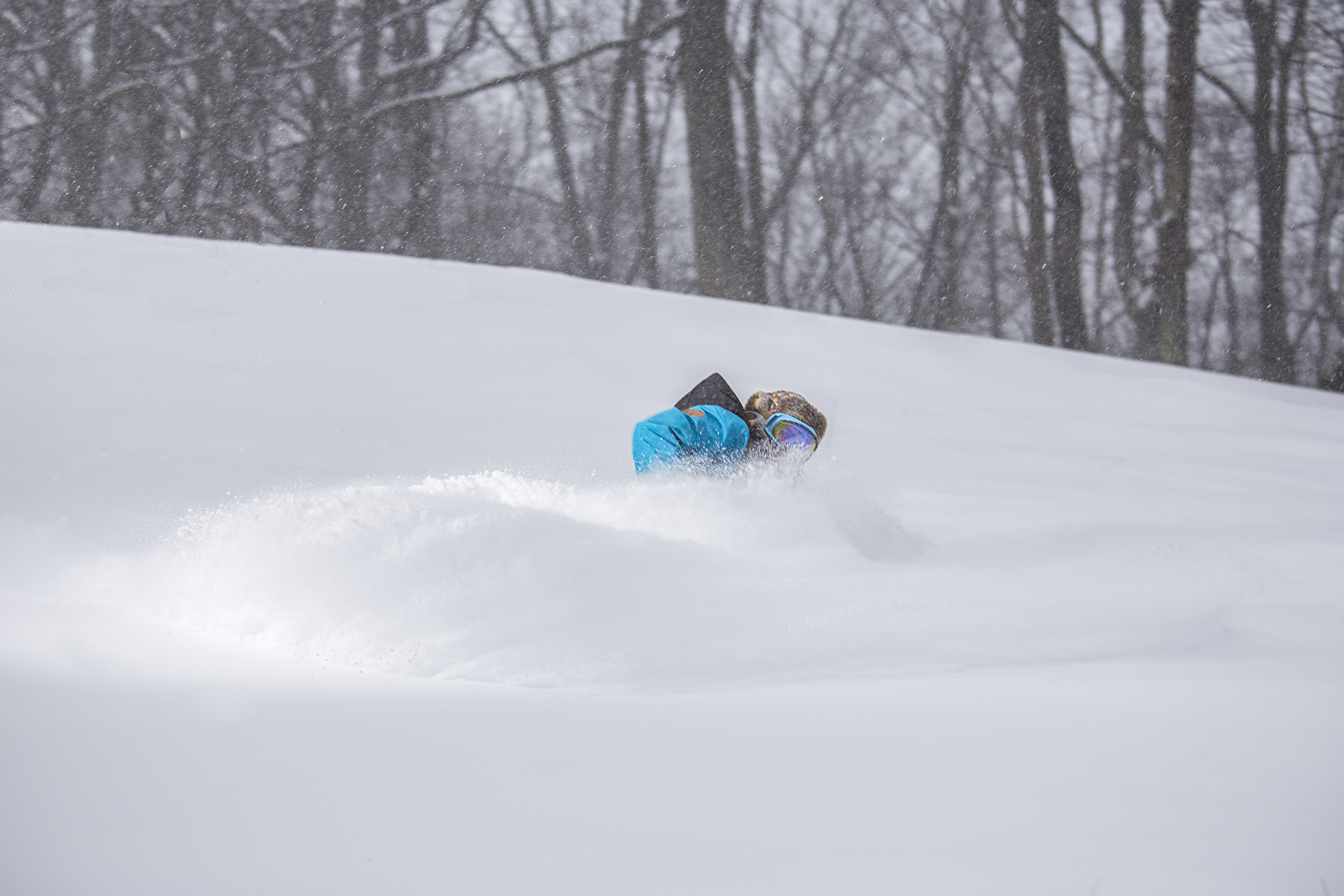 Cameron // NC Powder