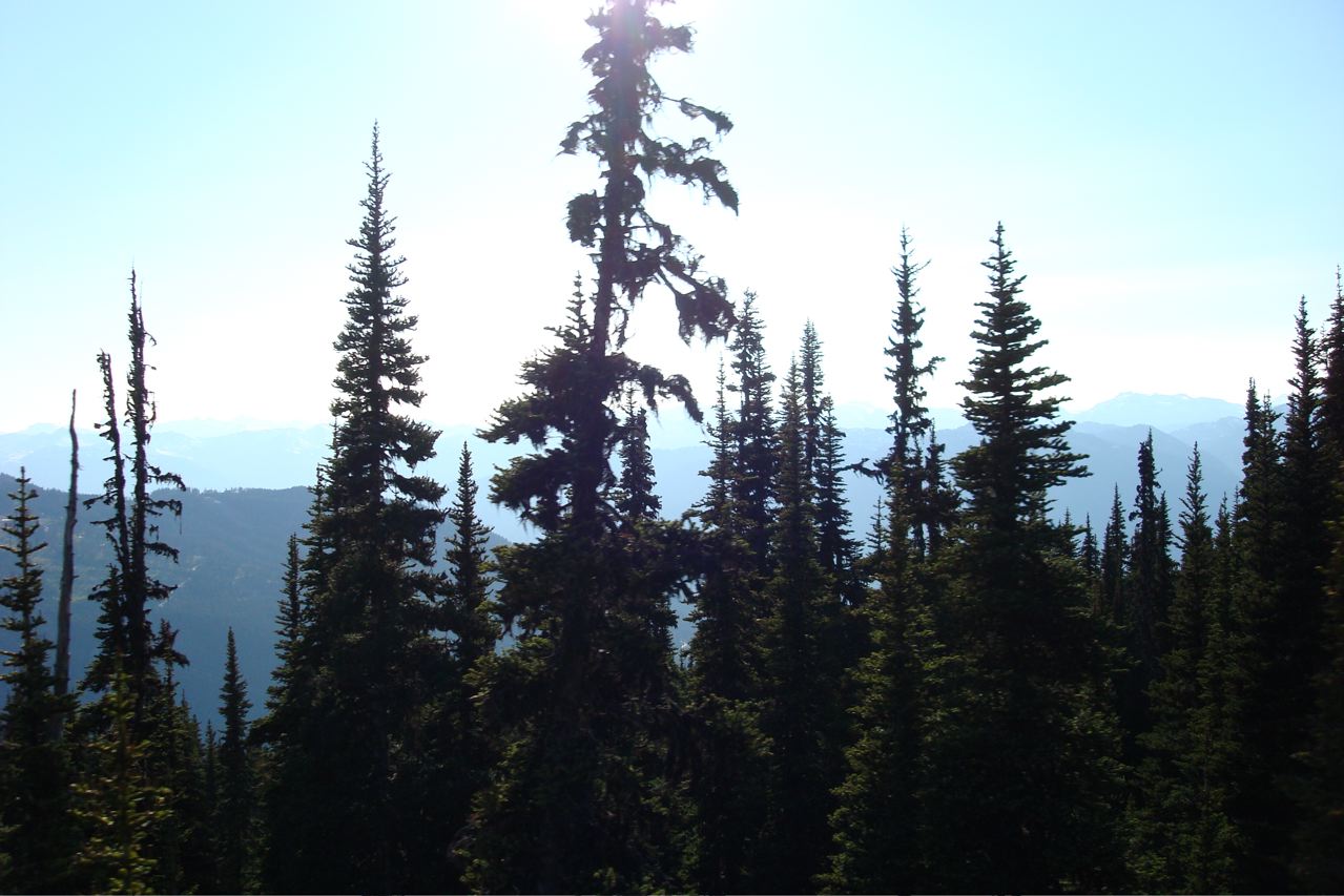 Camp B - JULY 2 - 5 of 7