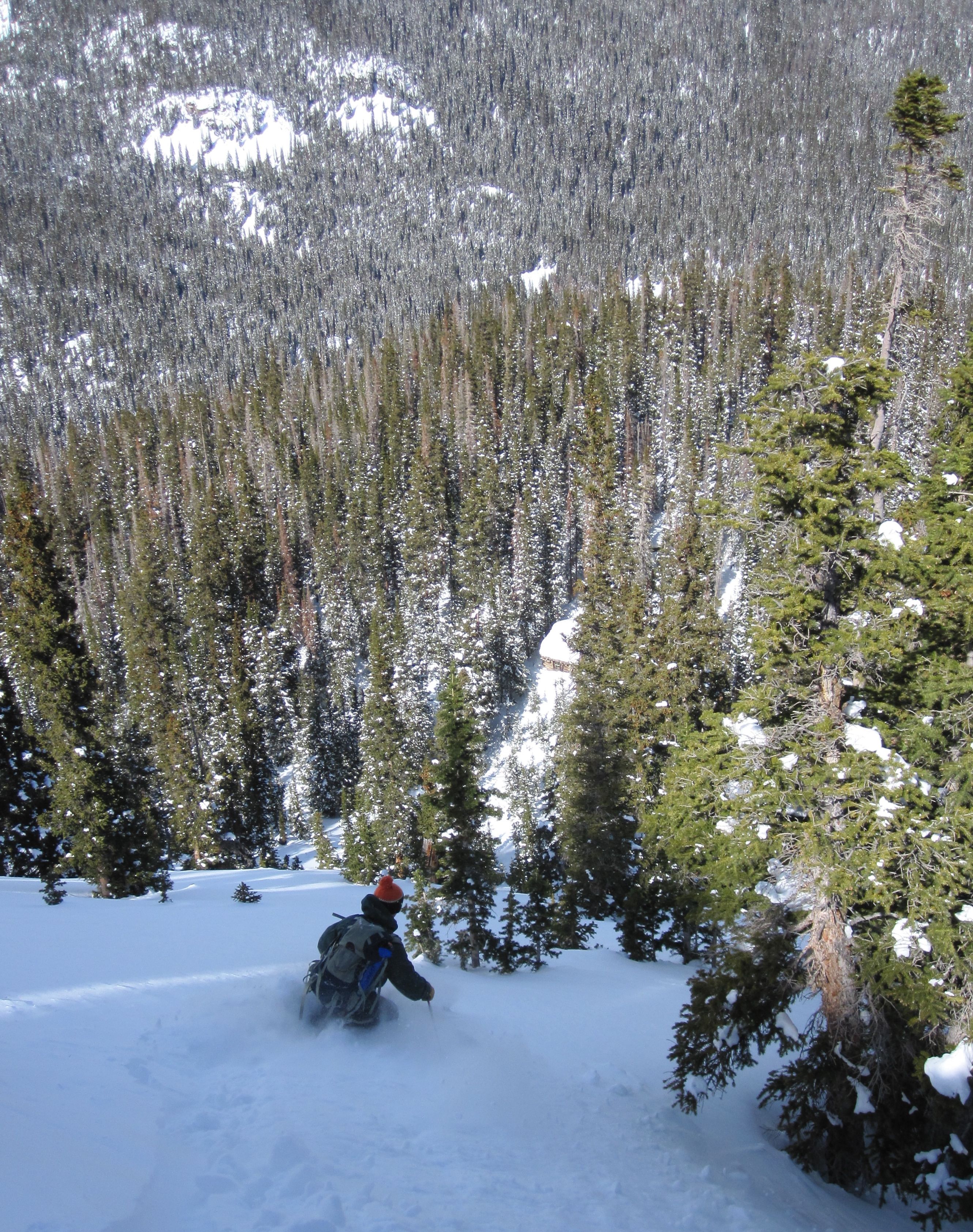 Can you find the cabin?