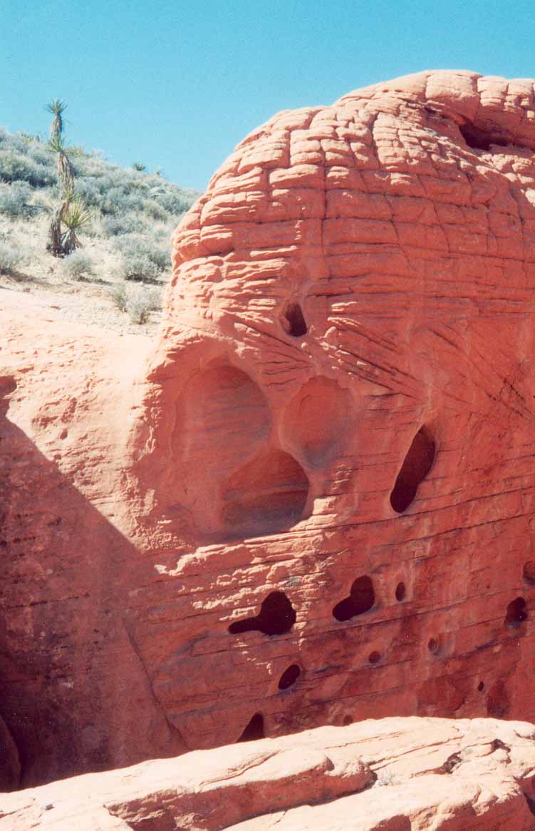 Can You See The Face?