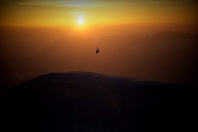 candide few words dub backy