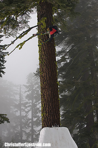 Candide tree jib by Sjöström