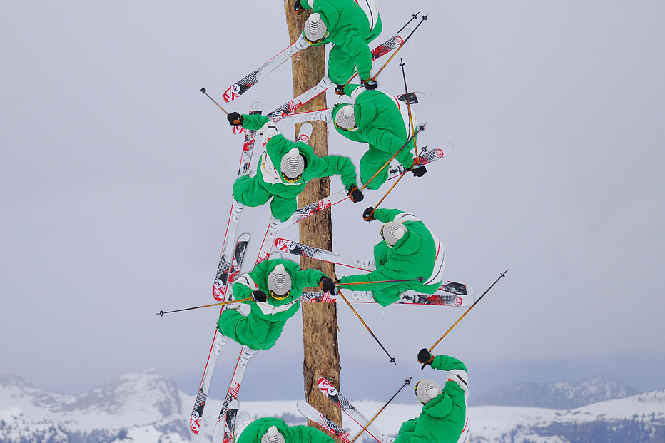 Candide tree jib seq