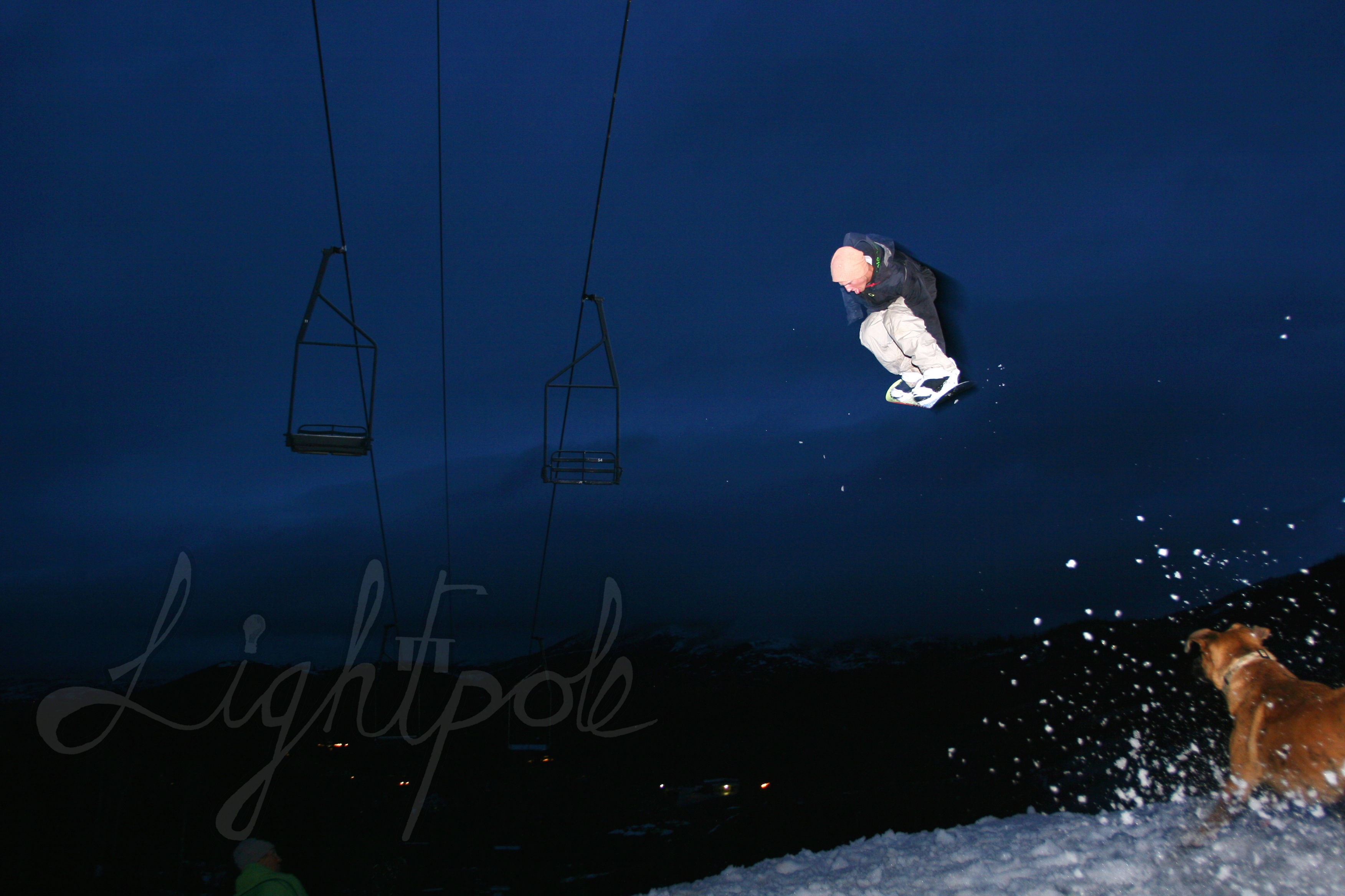 Cant Stop Dogs from Chasing