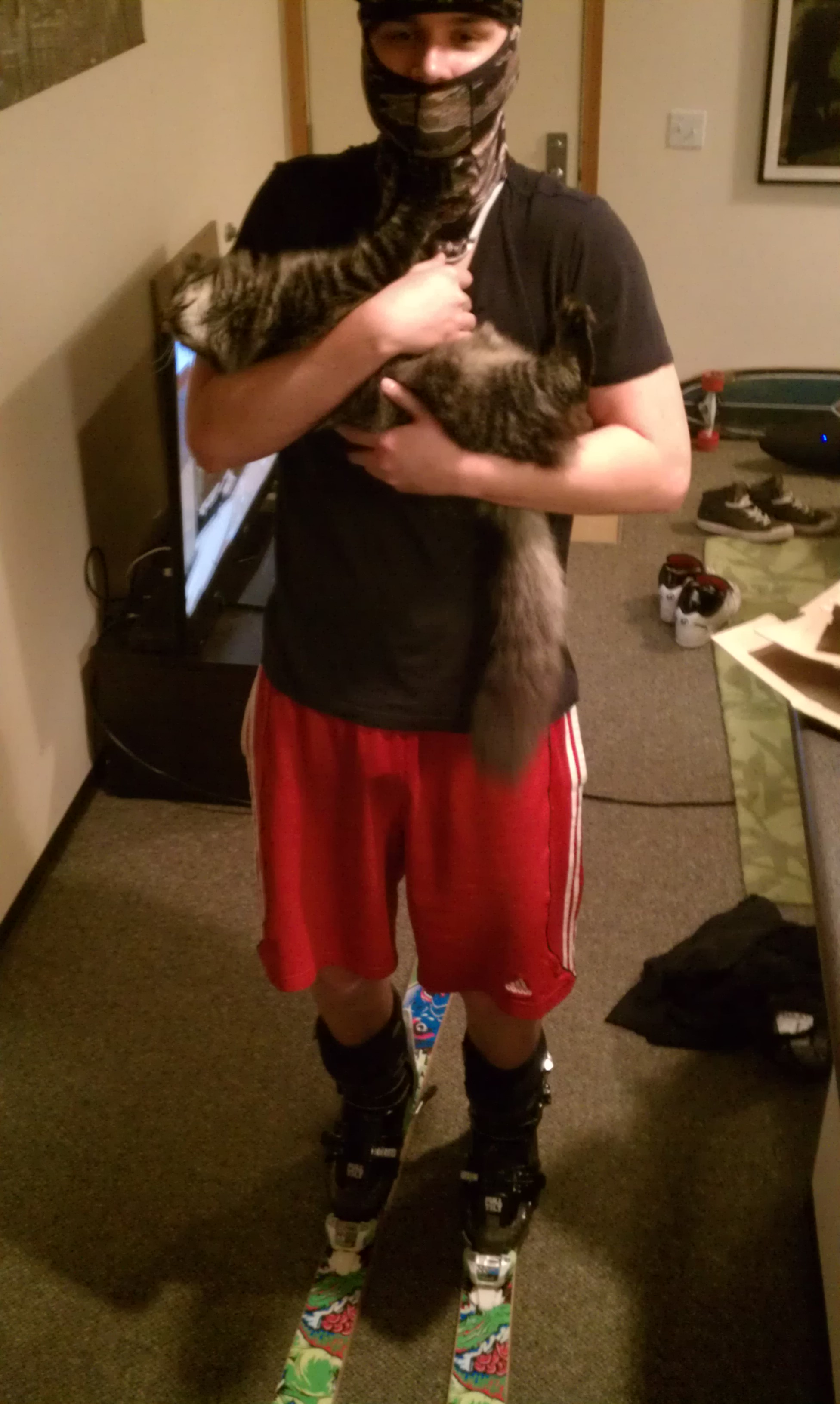 can't wait... also kitteh!