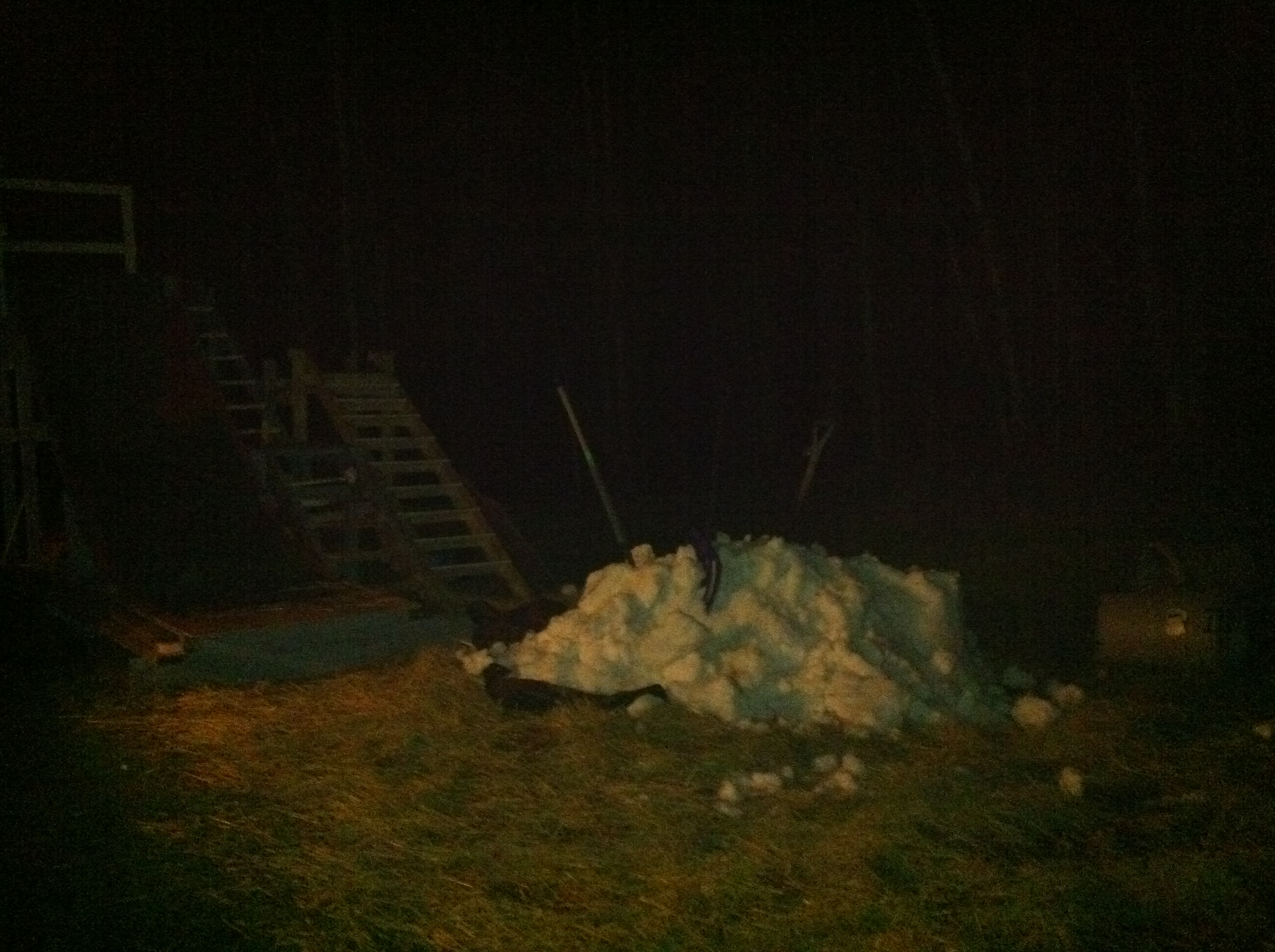 cant wait for tomorrow