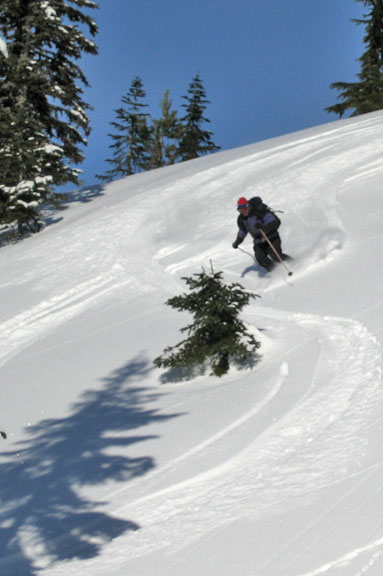 Carving Virgin Snow