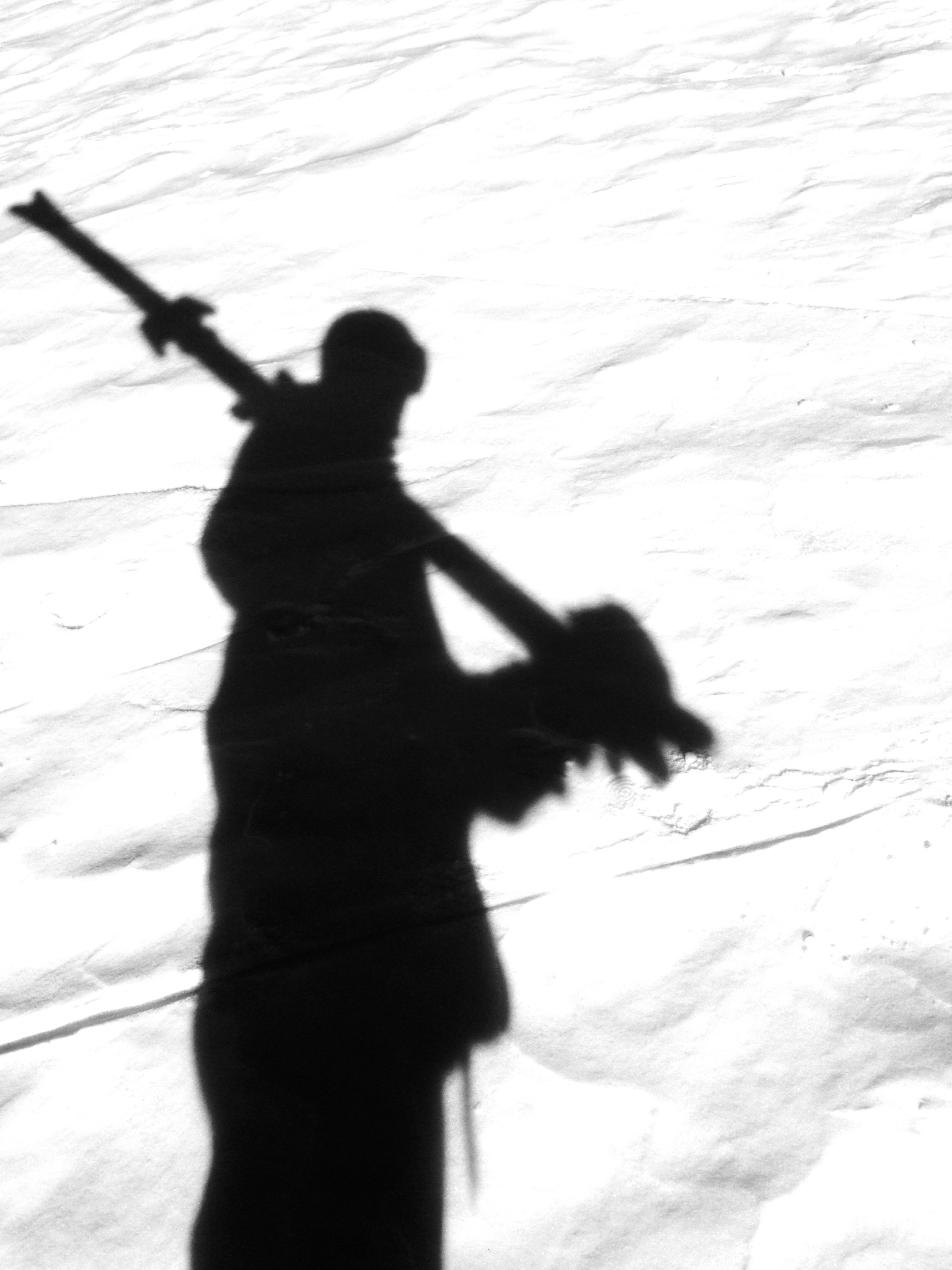 Casting Shadows