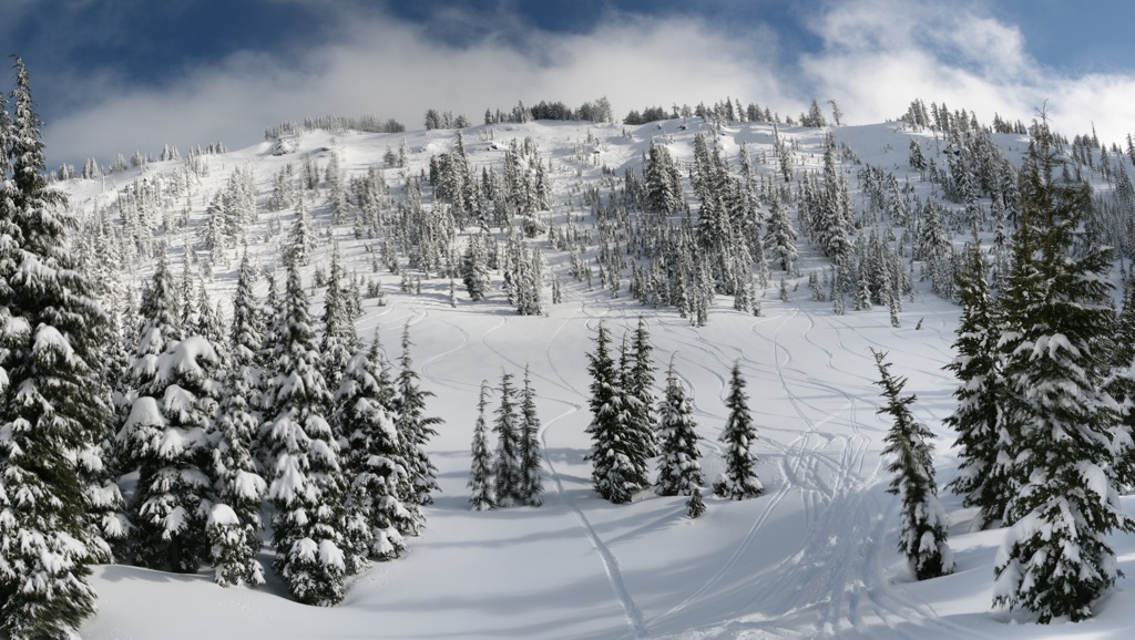 Cat Skiing Mt Bailey