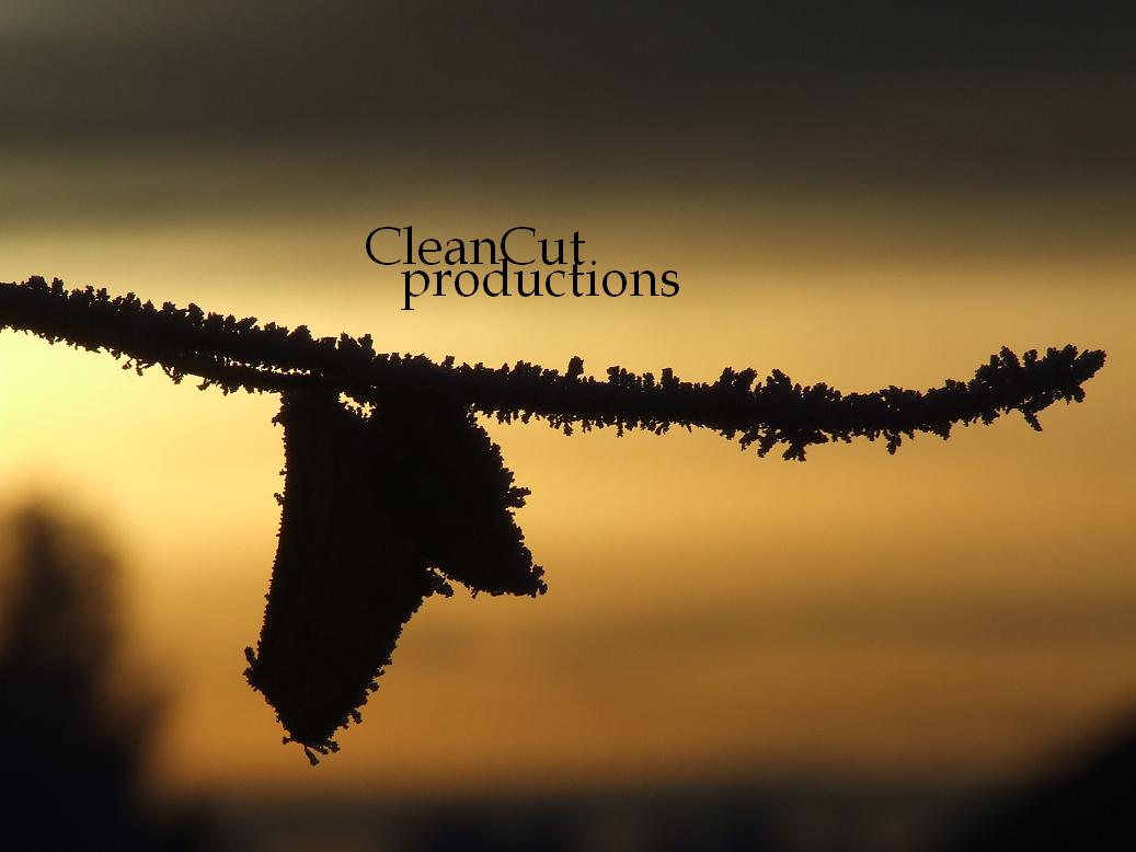 Change webadress and design