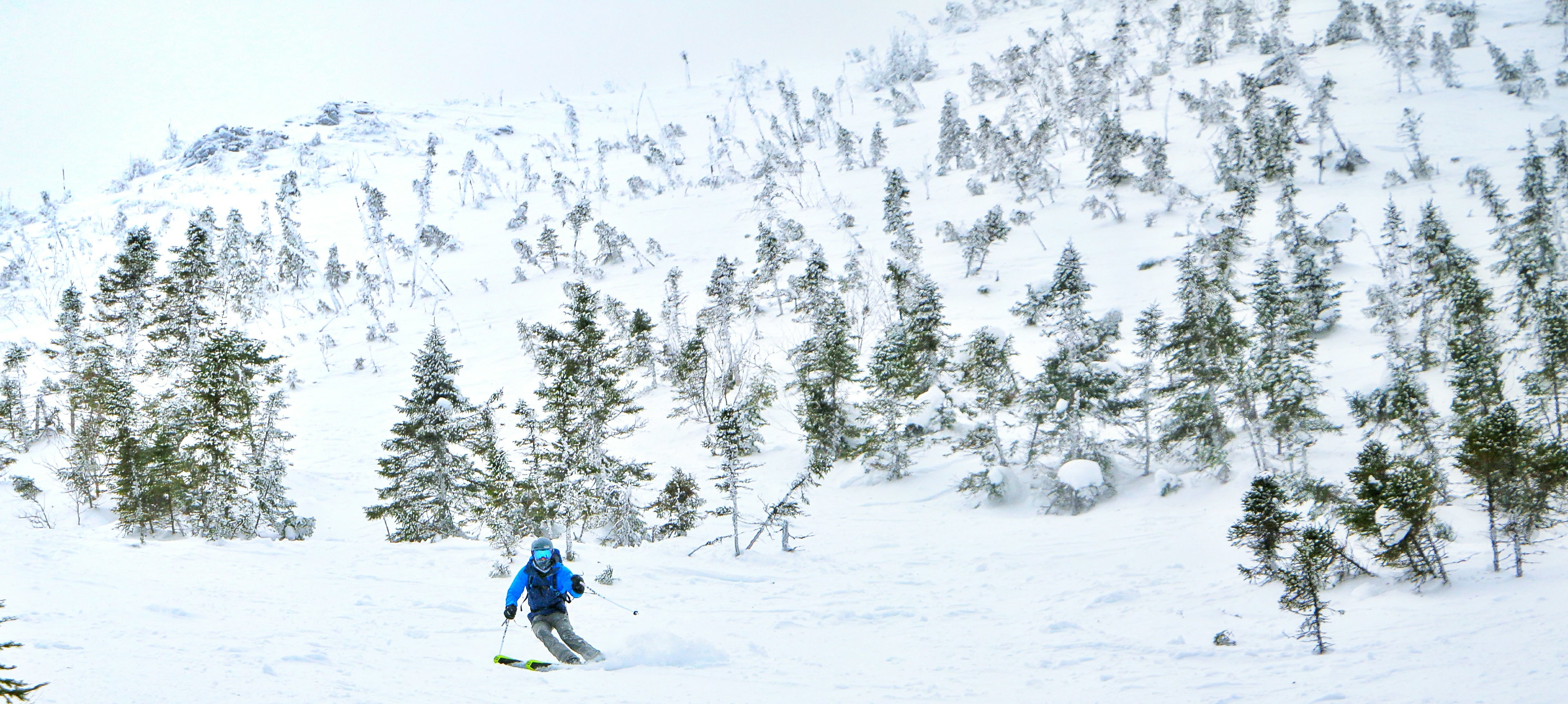 Chic-Chocs Mont Lyall