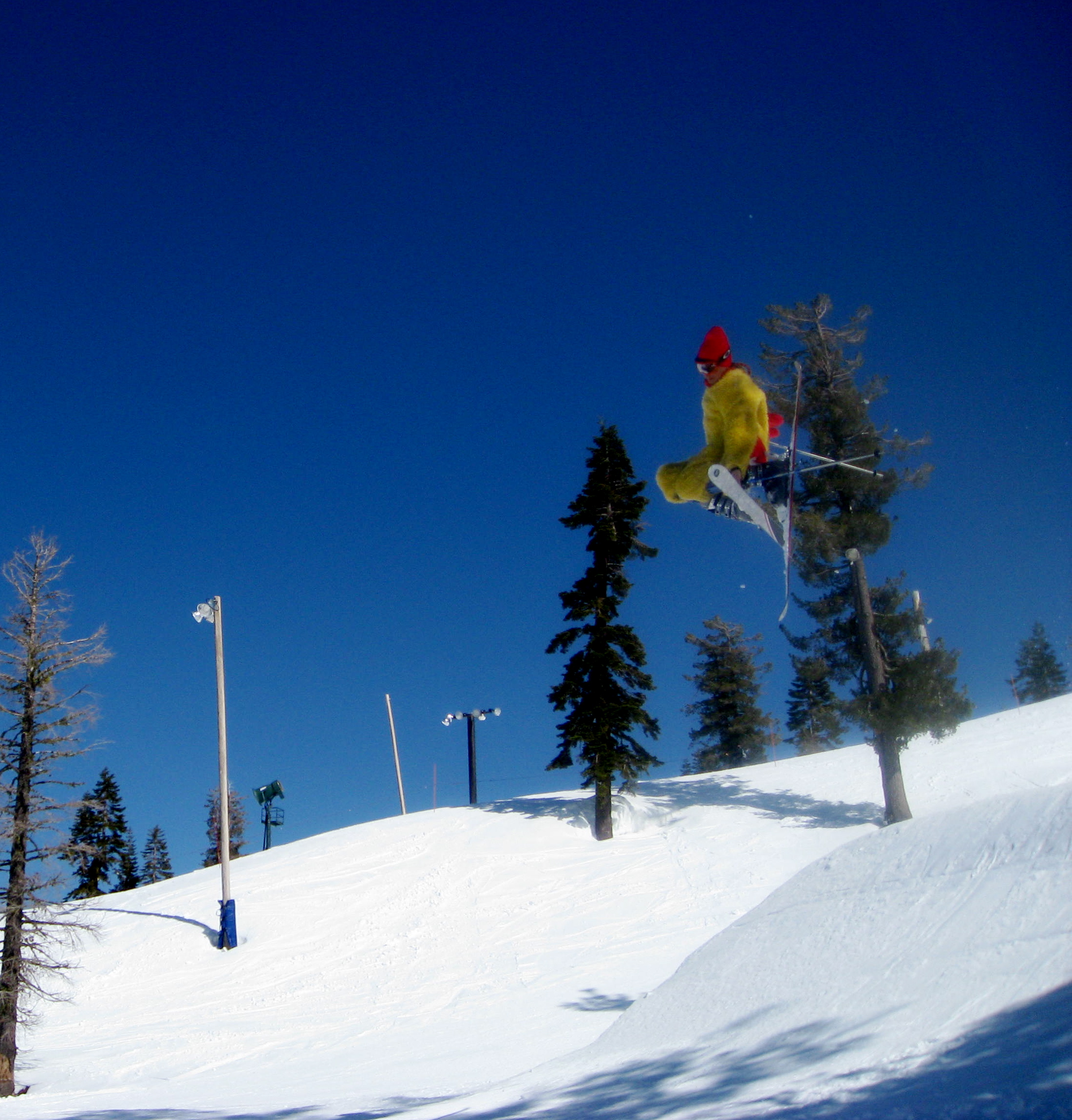 Chicken Suit in the park