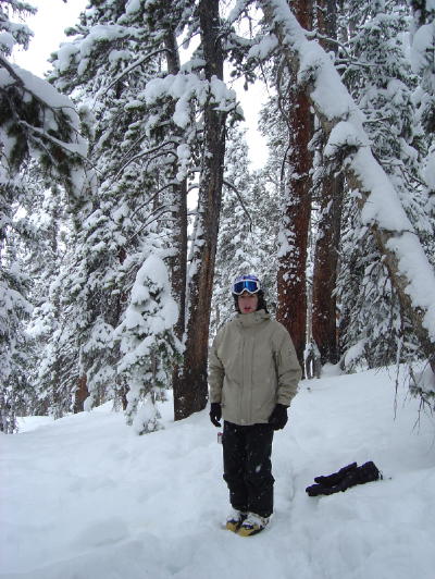 Chillin awesome tree run