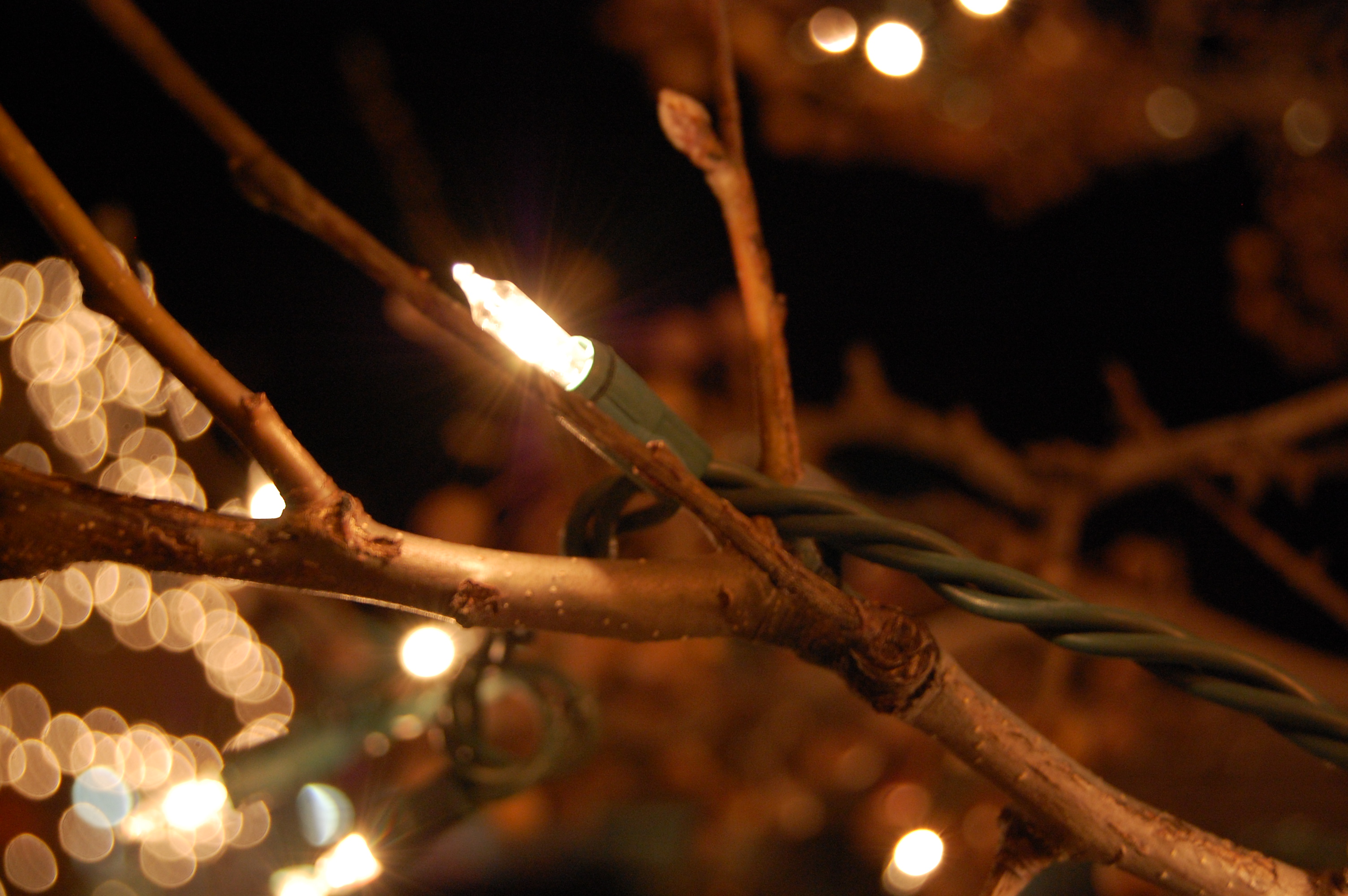 Christmas light (photo contest)