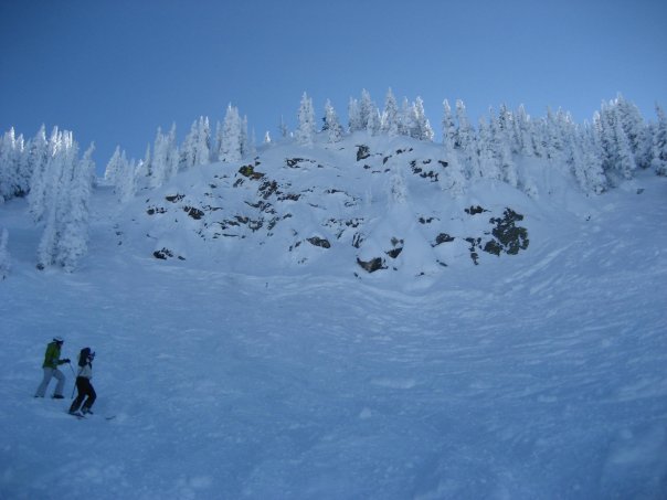 Christmas tree bowl- steamboat