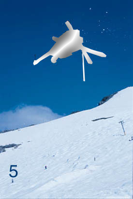 Chrome Back Flip Mute