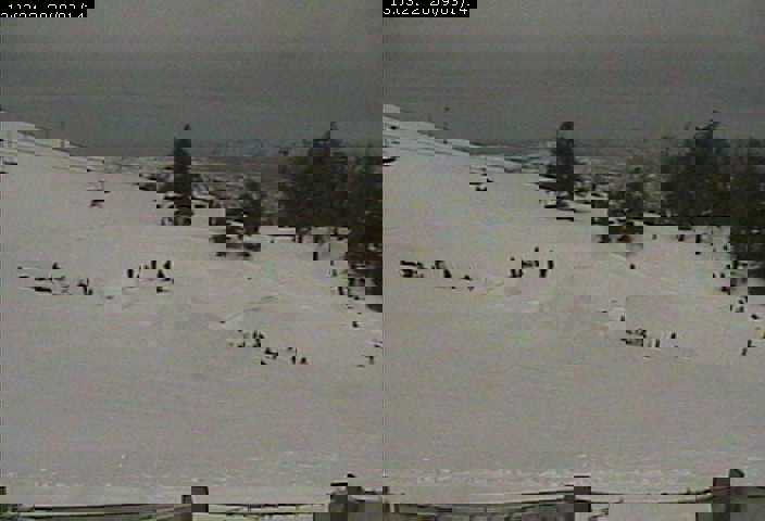 Claim jump and quarterpipe