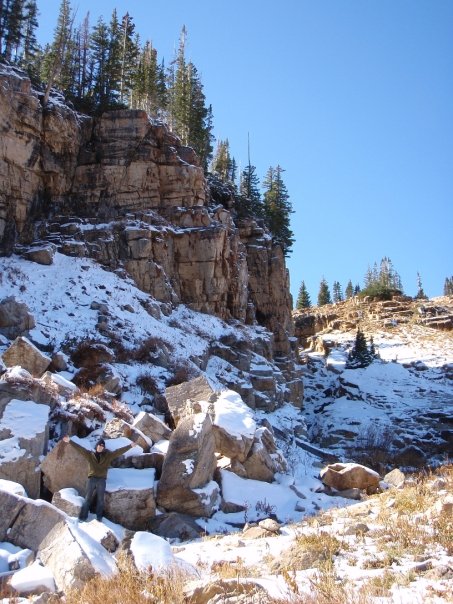 CLAIMIN IT fall 08 alta