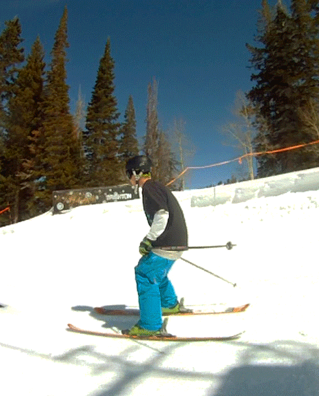 Click Picture to Enlarge (MOVING .GIF)