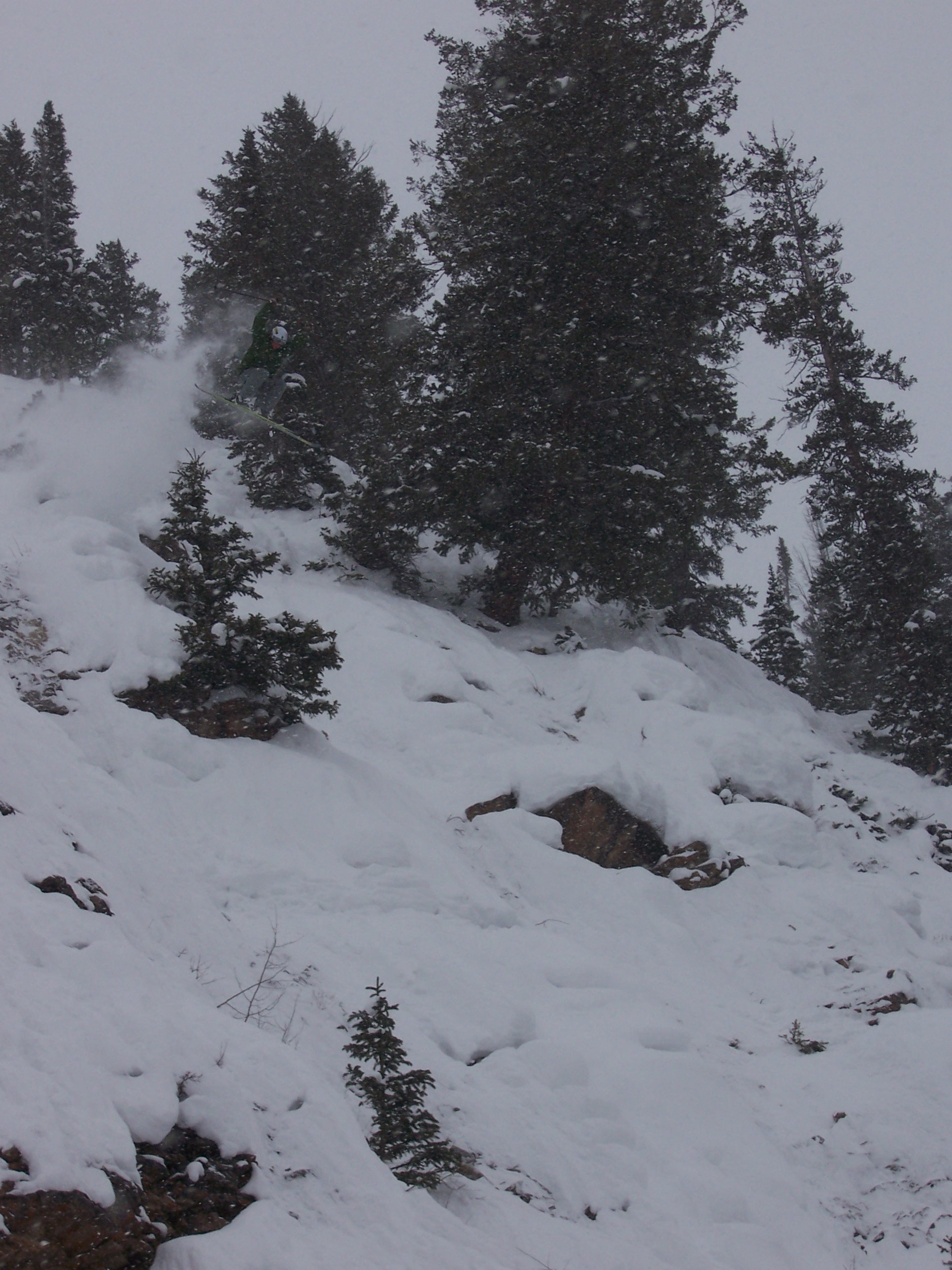 Cliff drop, monkey style