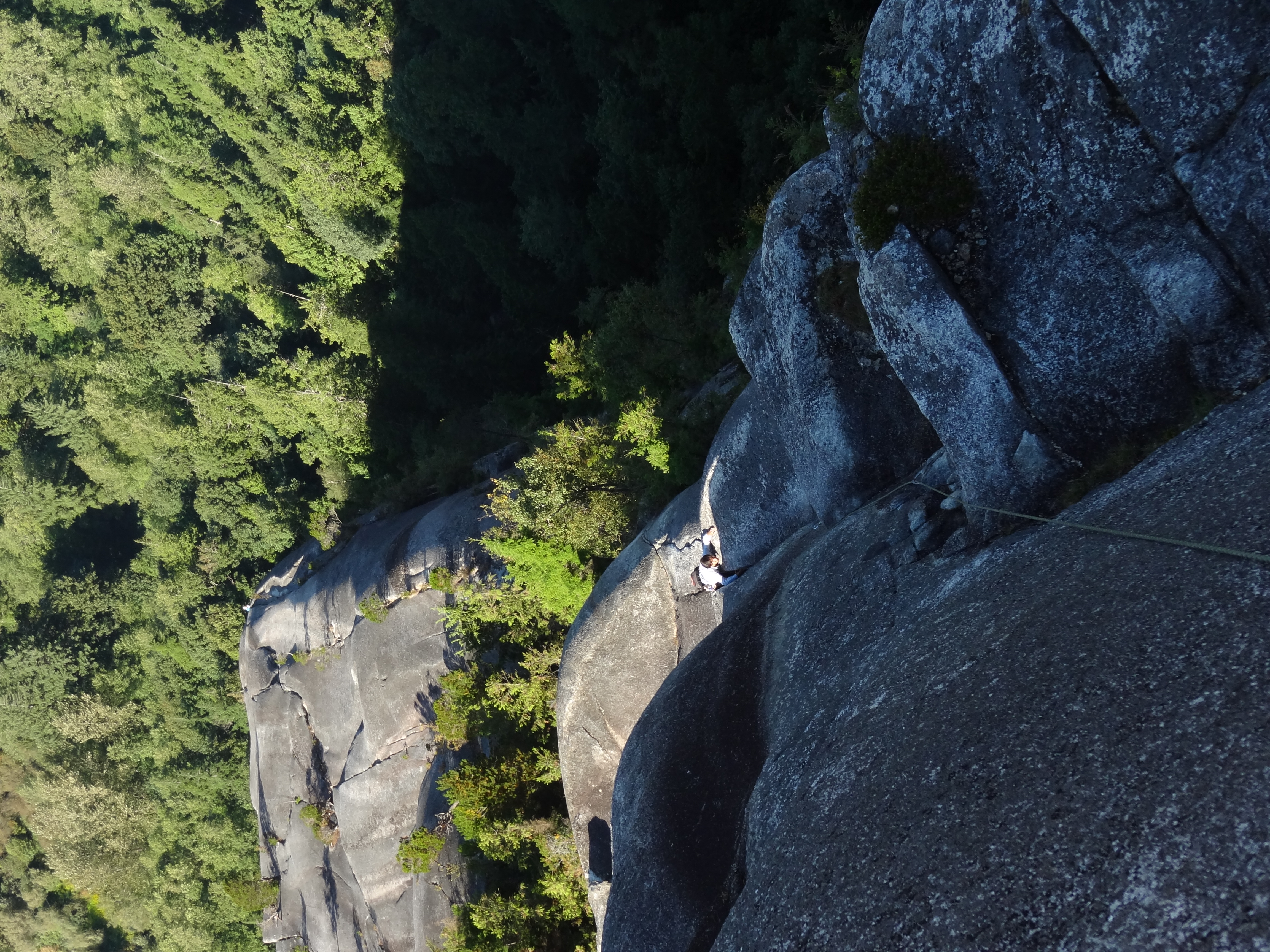 Climbing Calculus Crack