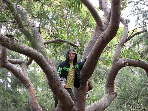 Climbing trees is fun