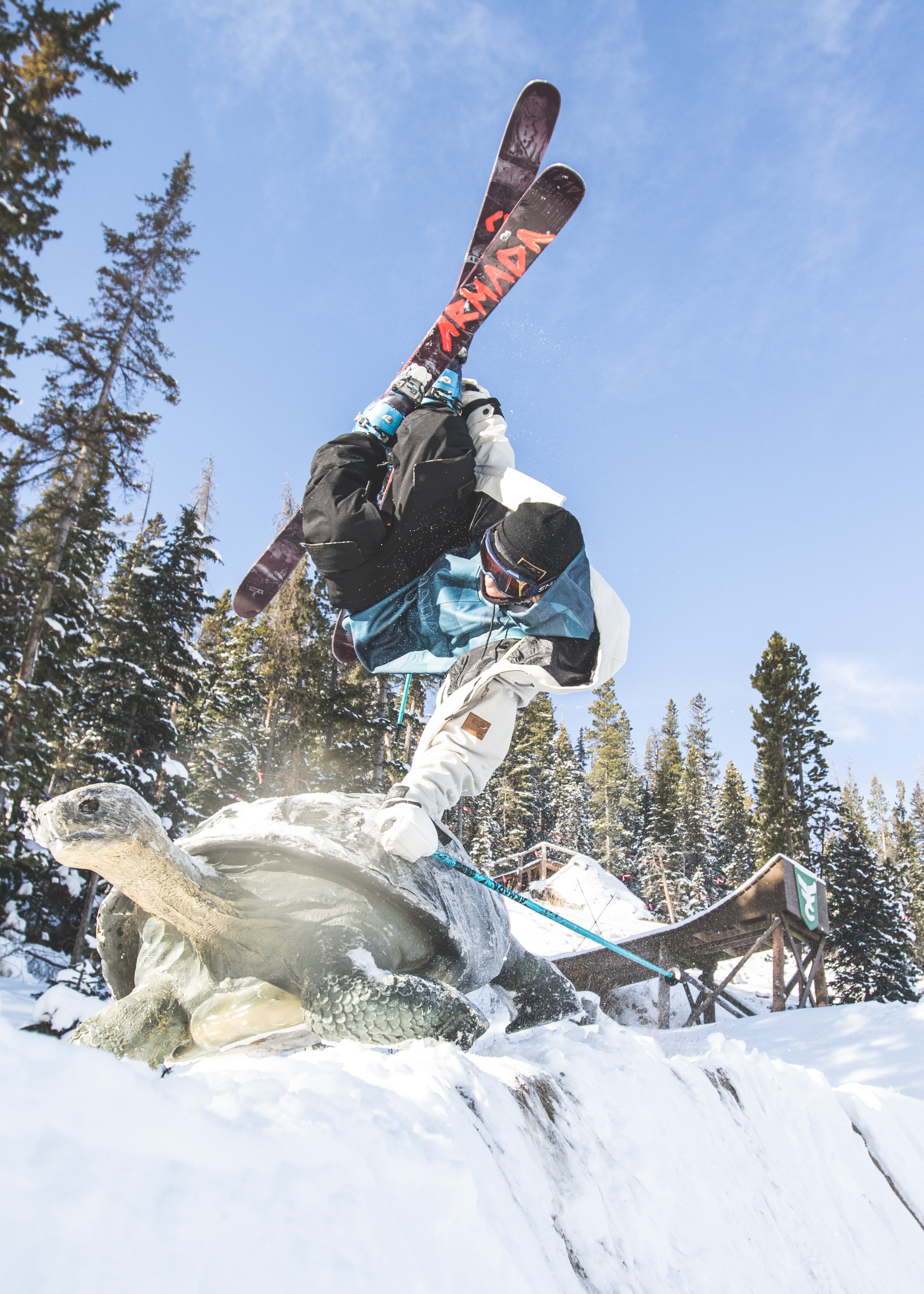 Cody Ray // I Like Turtles 