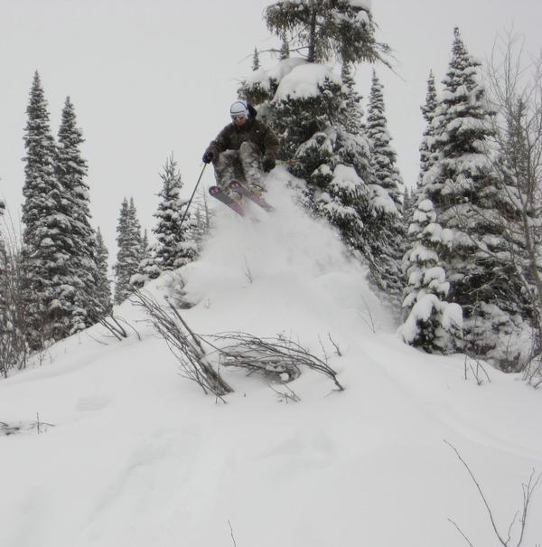 Collin launchin pillow