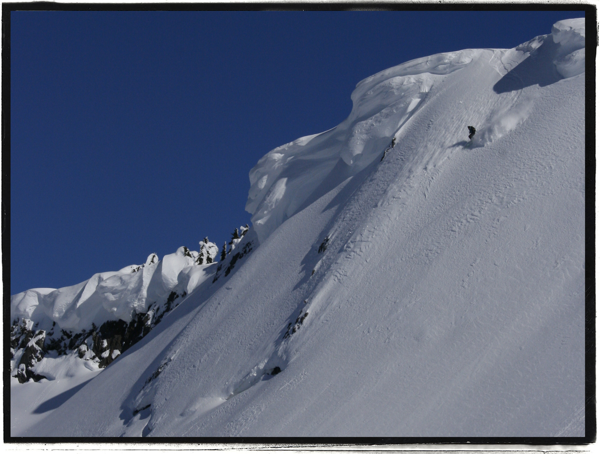 Colman Pinnacle