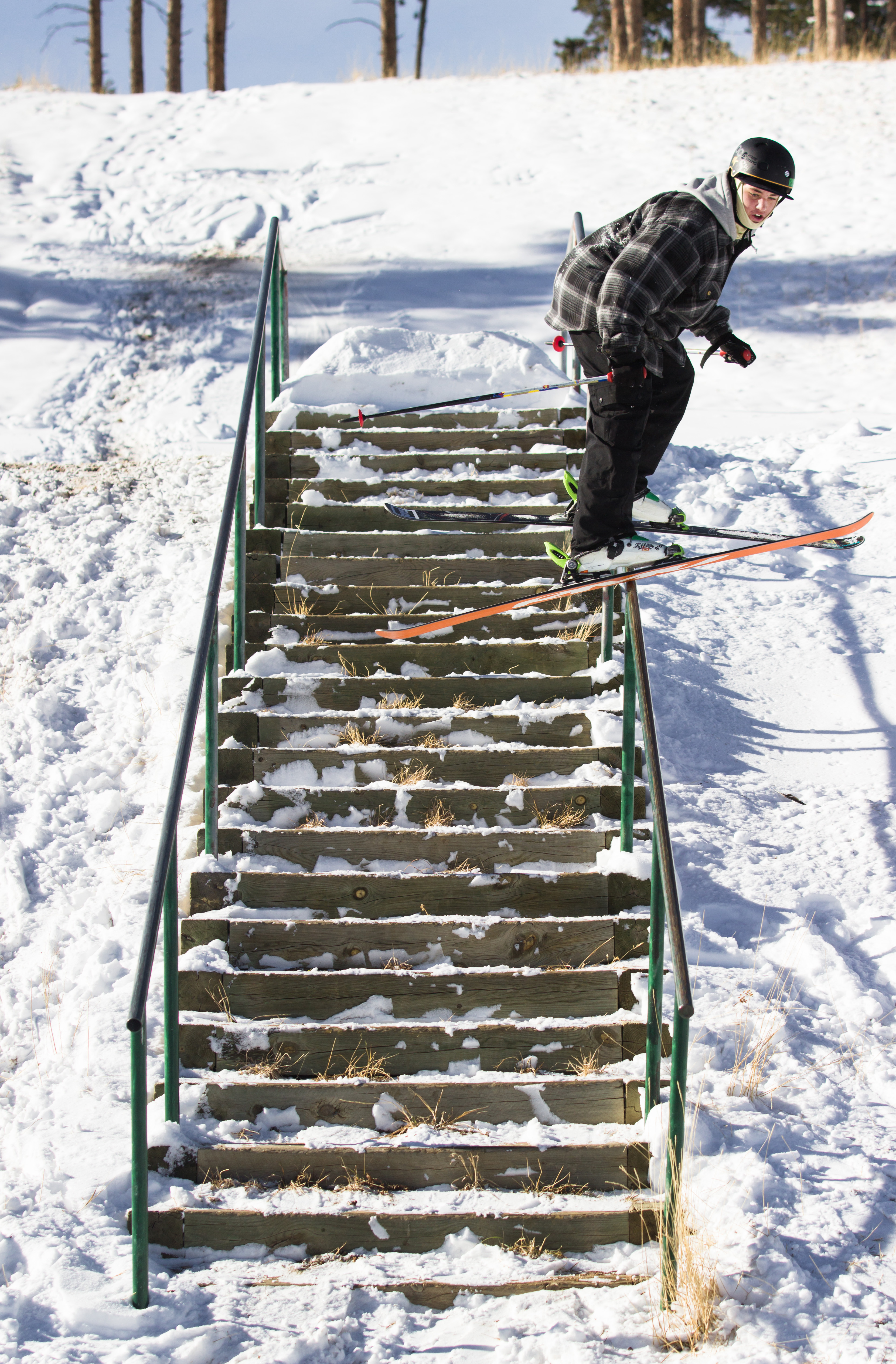Conifer Down Rail 2