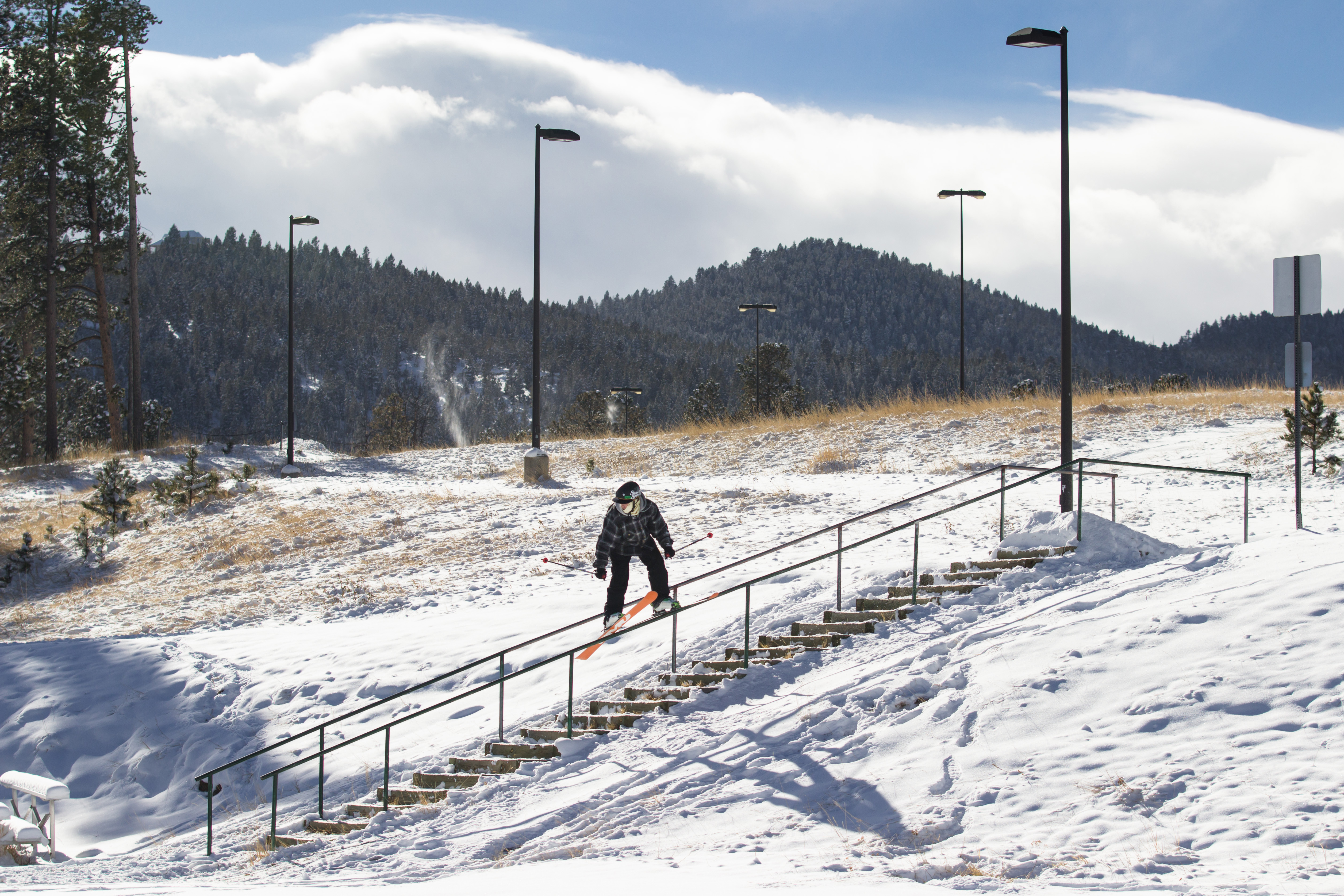 Conifer Down Rail 3