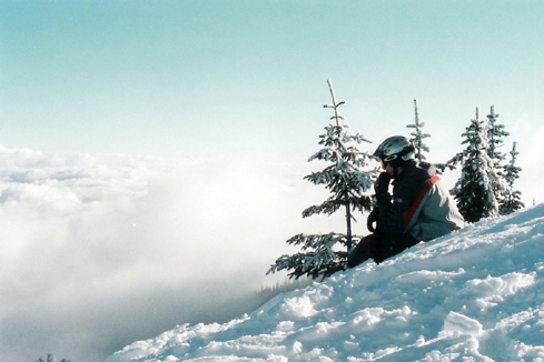 Contemplating Life and its Meaning