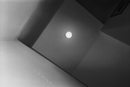 cool B and W looking up