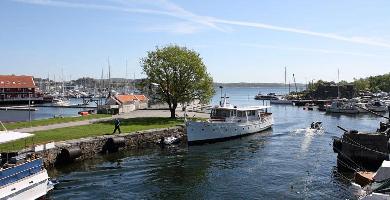 Cool breeze by the sea