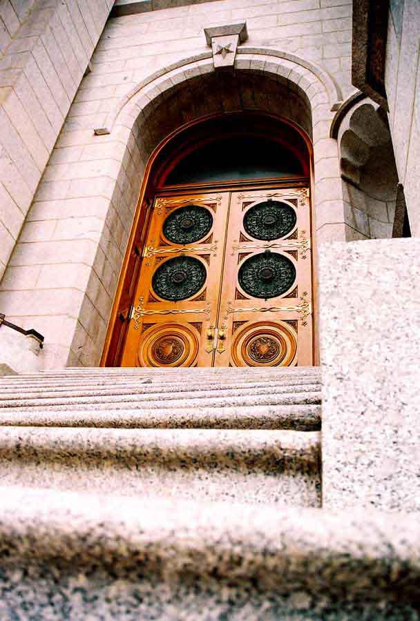 Cool Door perspective