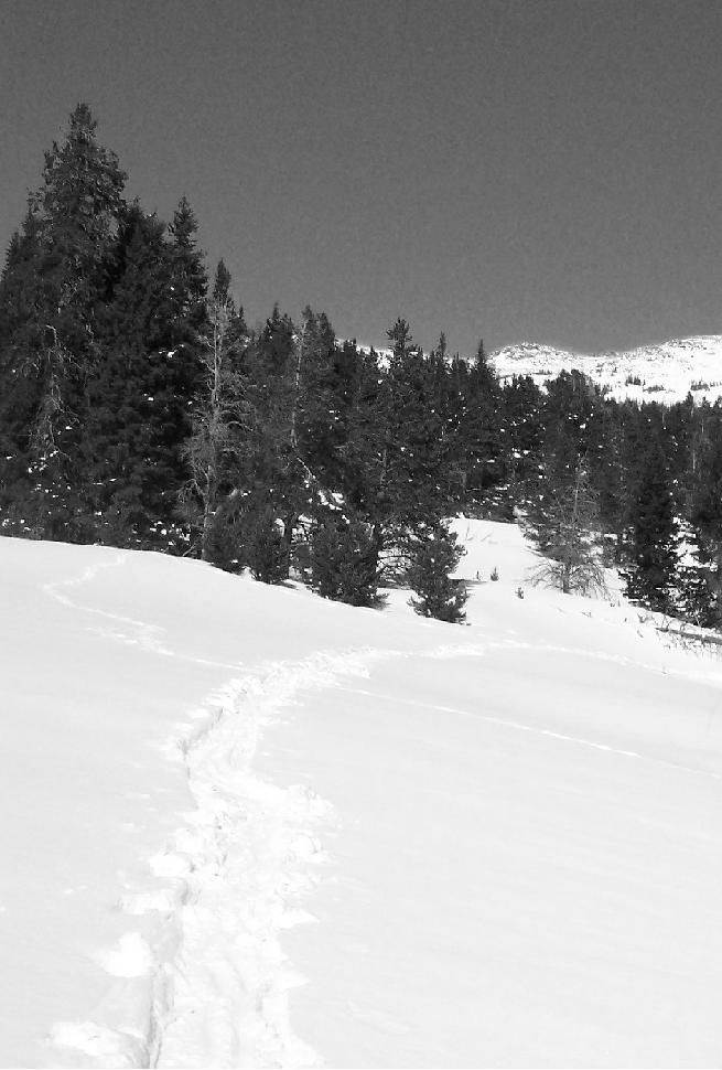 Cool picture of track