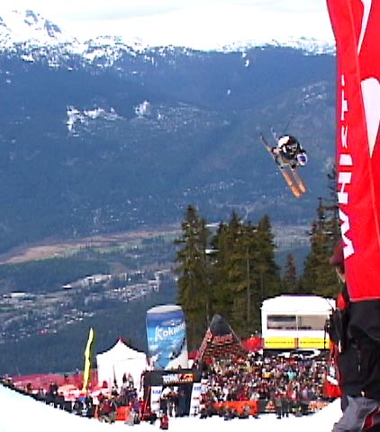 cork 5 tail - tanner