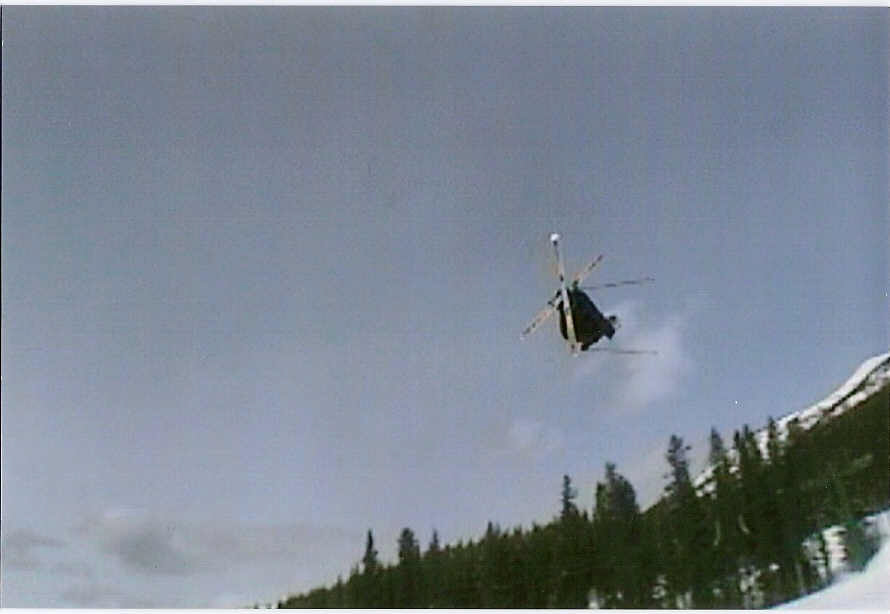 cork 7 opposite mute