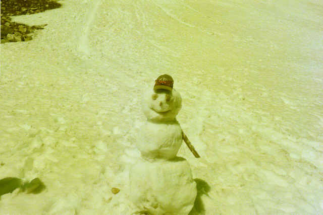 Correction.  Here is the July 15 snowman.