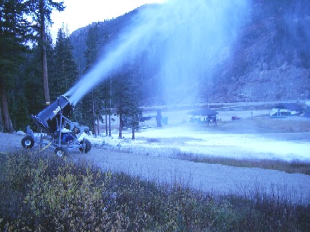 Could this be the year of 12 month lift service?