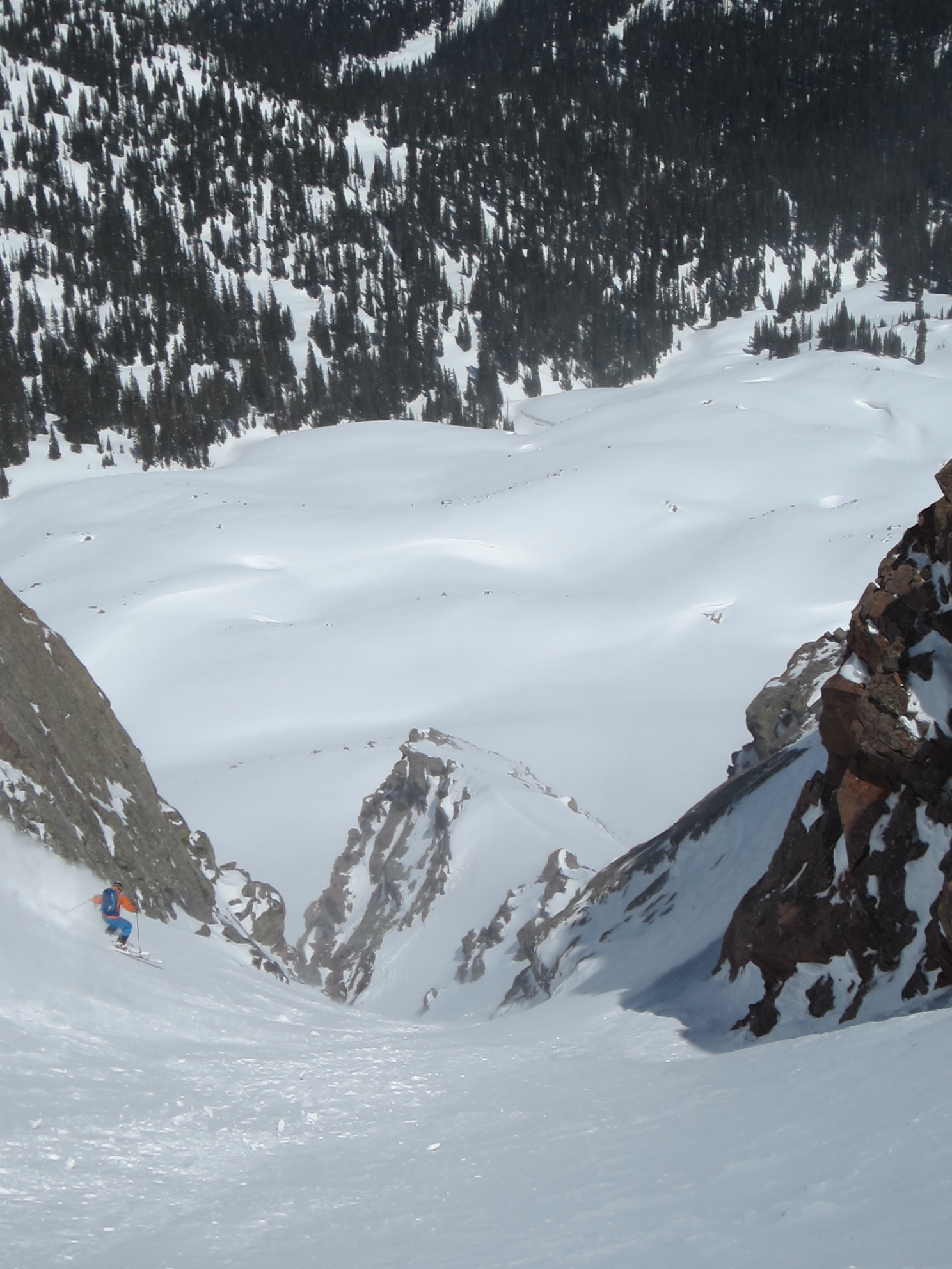 Couliors in Colorado